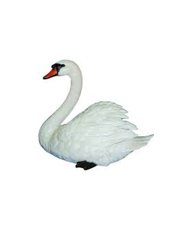 Vivid Arts Mute Swan