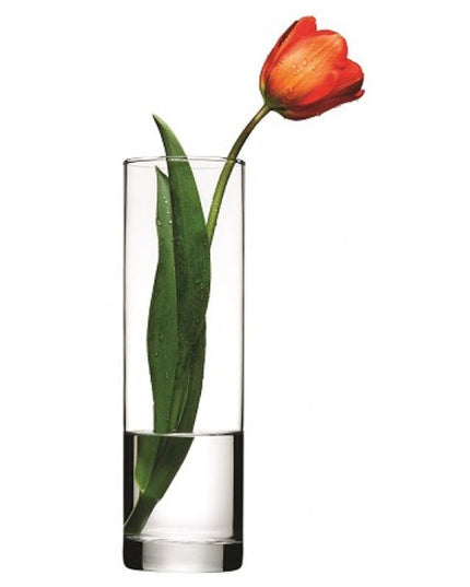 Pasabahce Botanica Cylinder Glass Vase – Clear Flower Vase – Modern Home Décor