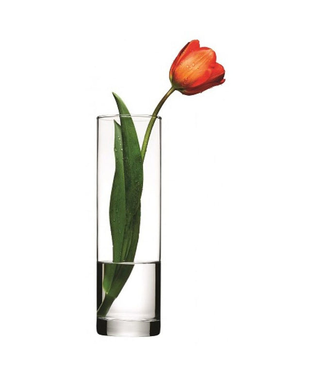 Pasabahce Botanica Cylinder Glass Vase – Clear Flower Vase – Modern Home Décor