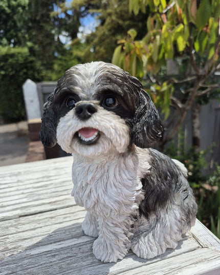 Vivid Arts Shih Tzu Black Dog