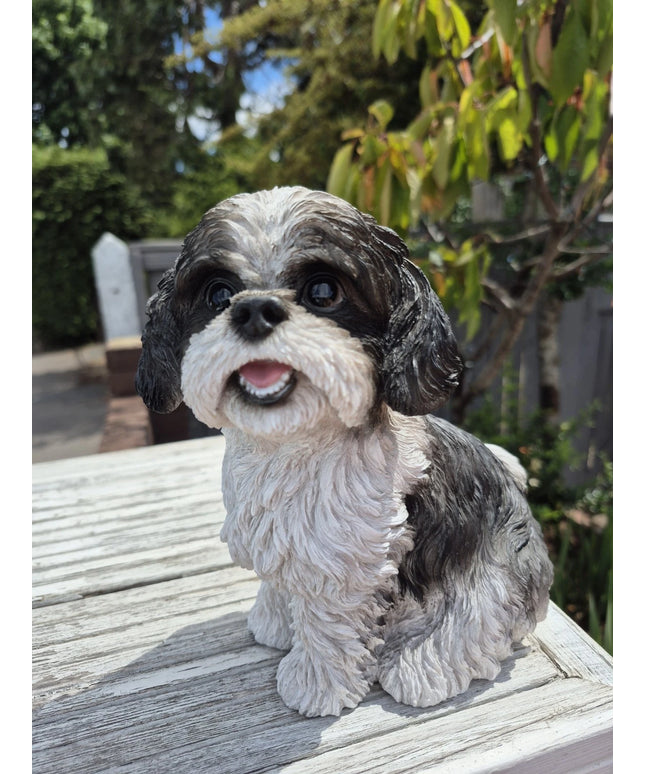 Vivid Arts Shih Tzu Black Dog