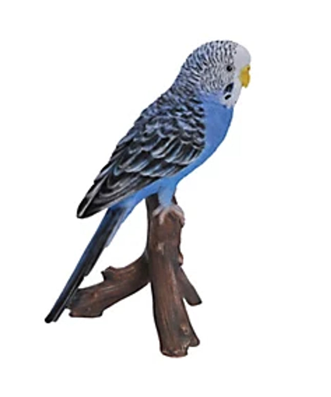 Vivid Arts Blue Budgerigar
